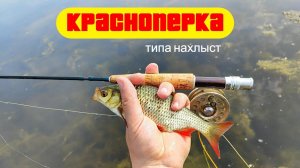 #нахлыст | Красноперка | Nac Corp. Micro FY49 #3/4 6pcs. |