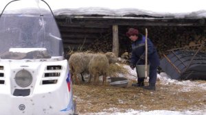 "Водяная" трейлер (реж. Вилюра Исяндавлетова)