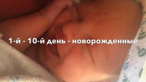 Онтогенез, филогенез и этапы жизни человека с точки зрения психофизиологии