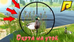 RADMIR 13 CRMP ОБЗОР ОХОТЫ НА УТОК МОЖНО ЛИ ЗАРАБОТАТЬ_ СТОИТ ЛИ ПОКУПАТЬ ЛИЦЕНЗИЮ РАДМИР 13 HASSLE