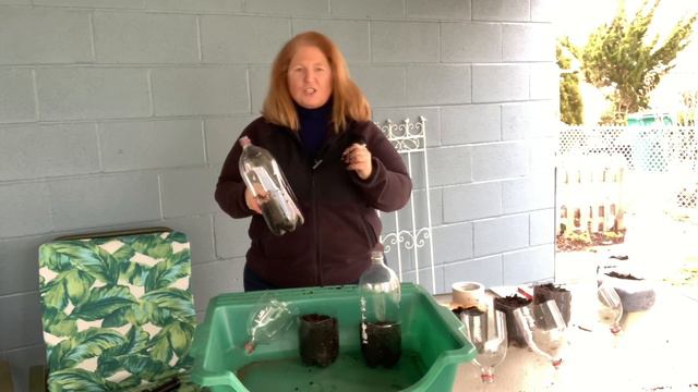 Winter sowing Perennials and Annuals: Is it too warm for Winter Sowing? смотреть онлайн