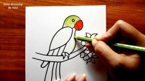 How To Draw Parrot For Beginners || Parrot Drawing Colour || Parrot Drawing Tutorial || Bird Drawin