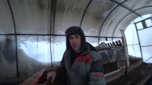 Цесарки. Условия содержания, разведения и помещение для Цесарок ???