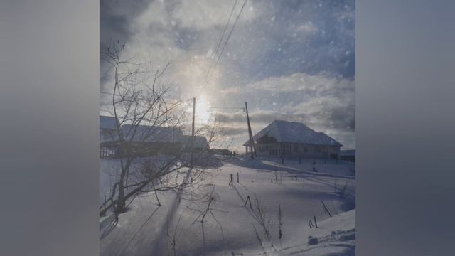 Солнечный день