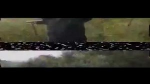 Опасные животные. Дикие животные. Собака против медведя гризли