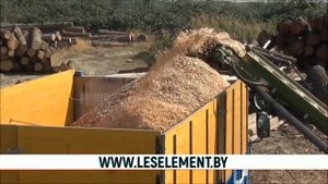 Работа дробилки древесины Pezzolato PTH 500