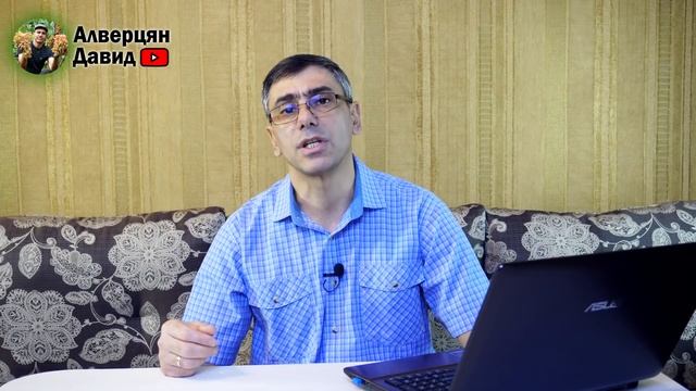 Самый вкусный виноград в мире - какой? смотреть онлайн