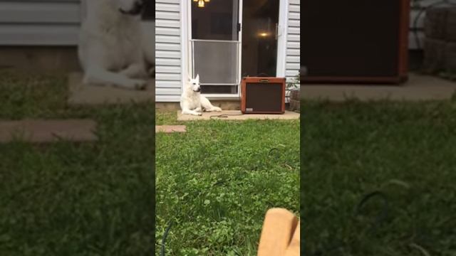 Vincent Kustom KAA65 смотреть онлайн