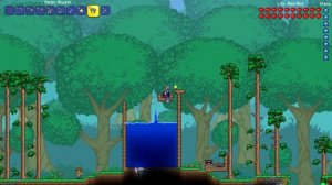 Как сделать Бесконечную воду в Terraria из одного ведра?