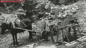 Золотые прииски станицы Магнитная