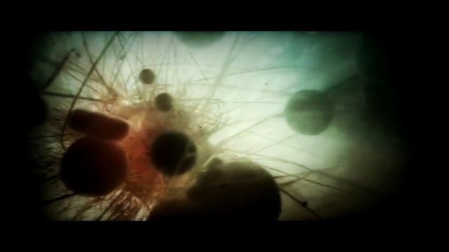 История планеты.