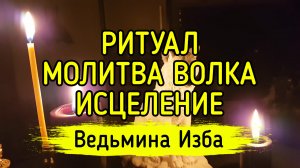 МОЛИТВА ВОЛКА - ИСЦЕЛЕНИЕ. ДАРЮ ВСЕМ. ВЕДЬМИНА ИЗБА ▶️ ИНГА ХОСРОЕВА
