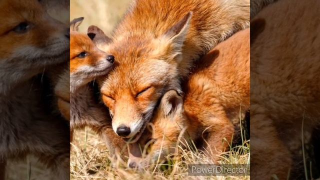 Изменения в природе весной смотреть онлайн