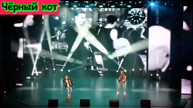 Чёрный кот #music #хиты #top #советскаяпесня #фолк #народнаяпесня #баян #русскаяпесня #folk