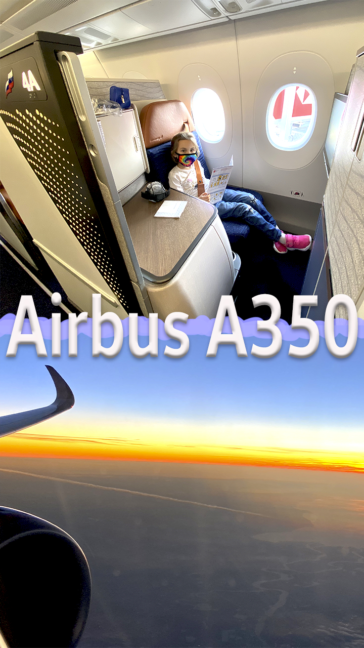 Тестируем Airbus A350 / Бизнес-Класс / Распаковка / #Вертикалочка