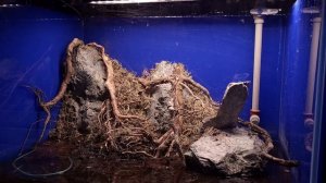 ПАЛЮДАРИУМ ДЛЯ КРАБОВ