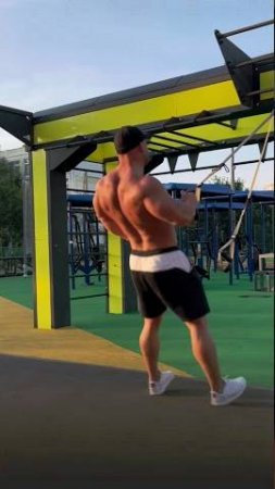 Тренировка грудных, спины и пресса на TRX. #shorts