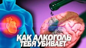 ВЛИЯНИЕ АЛКОГОЛЯ НА ОРГАНИЗМ | Почему 90% Людей Уже Алкоголики