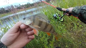 РЫБАЛКА НА УЛЬТРАЛАЙТ.ЛОВЛЯ ОКУНЯ НА МИКРОДЖИГ В КАРЬЕРЕ