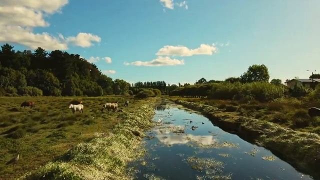 Прекрасная расслабляющая музыка