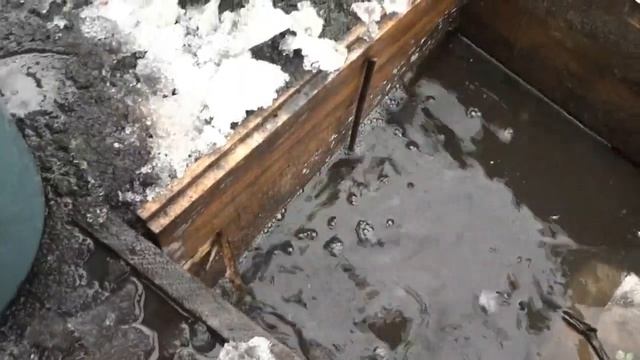 10апреля открыла виноград Агат Донской я вшоке смотреть онлайн