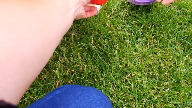 Наша малышка. Бернский зенненхунд. смотреть онлайн