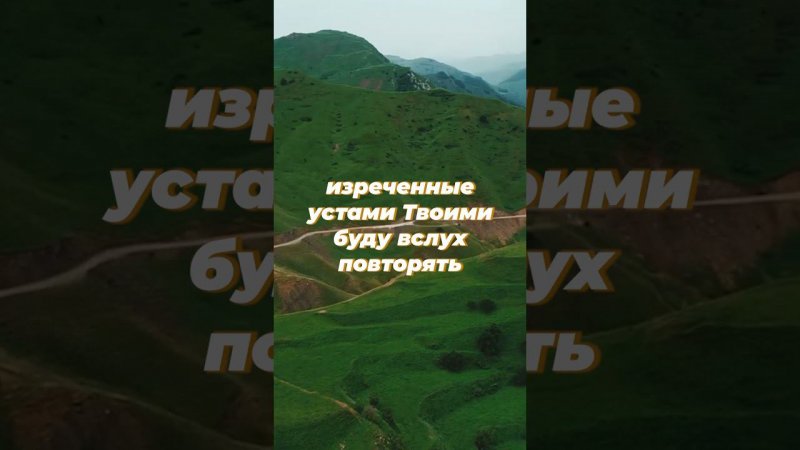 Псалтырь 118: 9-15 ИПБ им. Кулакова #sda_voskhozhdenie_shorts