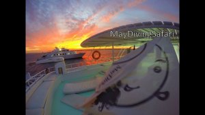 А мы пойдем на Юг. Ноябрьское Сафари, 2017