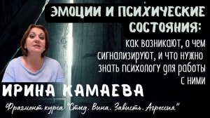 Ирина Камаева. Эмоции и психические состояния: что нужно знать для их анализа и работы с клиентом