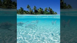 Поль Мориа (вот так лучше)