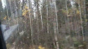 Поездка  в  Межевской  район  Костромской  области. Село  Георгиевское.