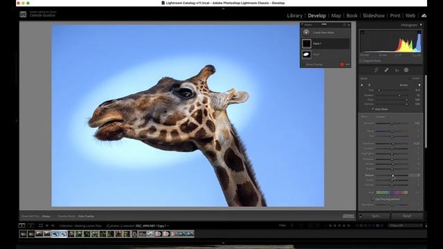 Intersect Mask - Lightroom Classic смотреть онлайн