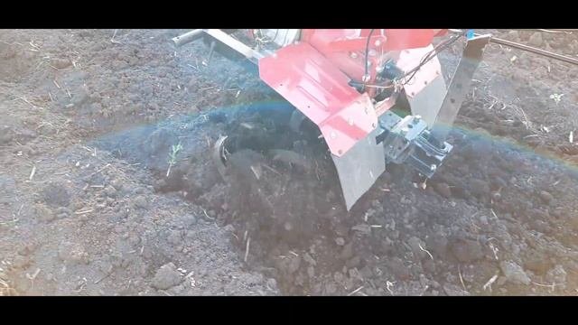 ??Фрезерование мотоблоком/прополка междурядий кабачков / Milling Motor-block