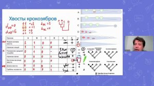 Школа педагогического мастерства  Генетика  Занятие 5  Филогенетические деревья