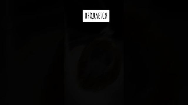 kot_i_klever