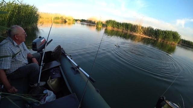 САЗАН НА ПОПЛАВОК! СУПЕР РЫБАЛКА! Жерех, змееголов, вобла, карась. Спиннинг. смотреть онлайн