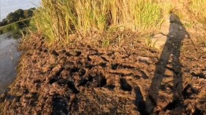 Уловистый воблер для ловли щуки на мелководьях.