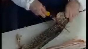 Разделка рыбы - Щука.mp4