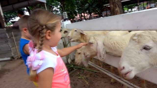 ABC Song + More Nursery Rhymes & Kids Songs - Diana Roma Show смотреть онлайн