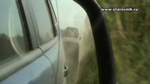 Ко и О #45 ПОИСК МОНЕТ НА ПОЛЯХ ЧУДЕС В РОГАЧЁВО SEARCH OF COINS AND TREASURES IN RUSSIA