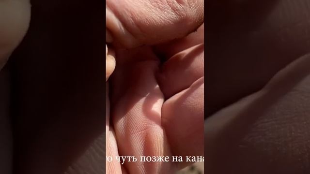 Нашел золотое кольцо