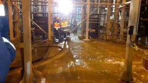 Быстринский гок