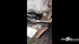 двигатель на MITSUBISHI FUSO 8DC11 Головко Артем