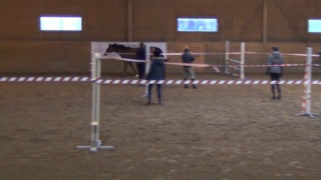 Safira löshoppar 2015-02-14 смотреть онлайн