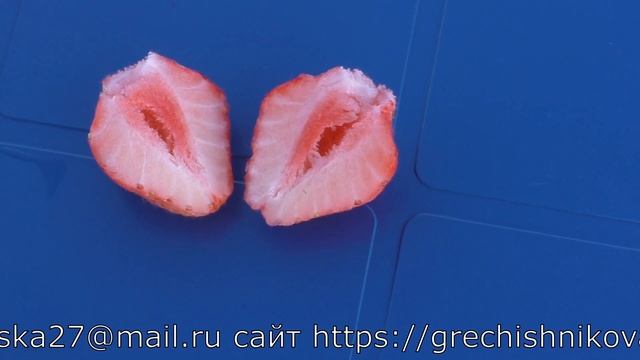 АНАНАСНАЯ ФИНСКАЯ РОЗОВАЯ десертного вкуса земляника садовая крупноплодная смотреть онлайн