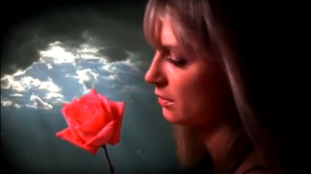 Владимир Бочаров, Я шёл к тебе. Vladimir Bocharov, Venivo da te. смотреть онлайн