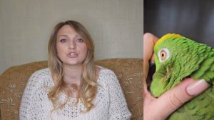 КАК ВОСПИТАТЬ ПОСЛУШНОГО ПОПУГАЯ.