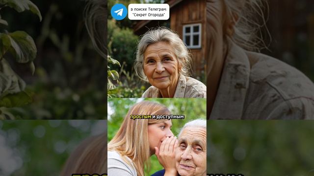 Вы навсегда забудете про комаров #секретогорода #дачныесоветы #вредители #комары