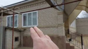 Метасеквойя глиптостробоидная и Таксодиум двурядный(Болотный кипарис). Посадка
