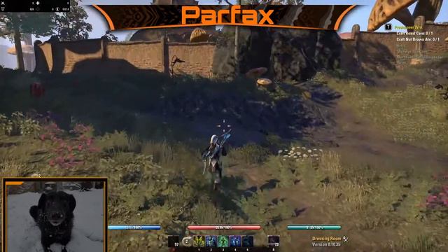 ESO NewReturning Player Guide